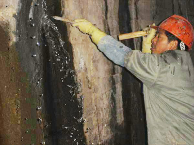 ��ε����Ҷ�©